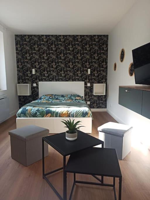 Superbe Appt Avec Cour Et Parking Gratuit A 5Min De La Cite Medievale Carcassonne Luaran gambar